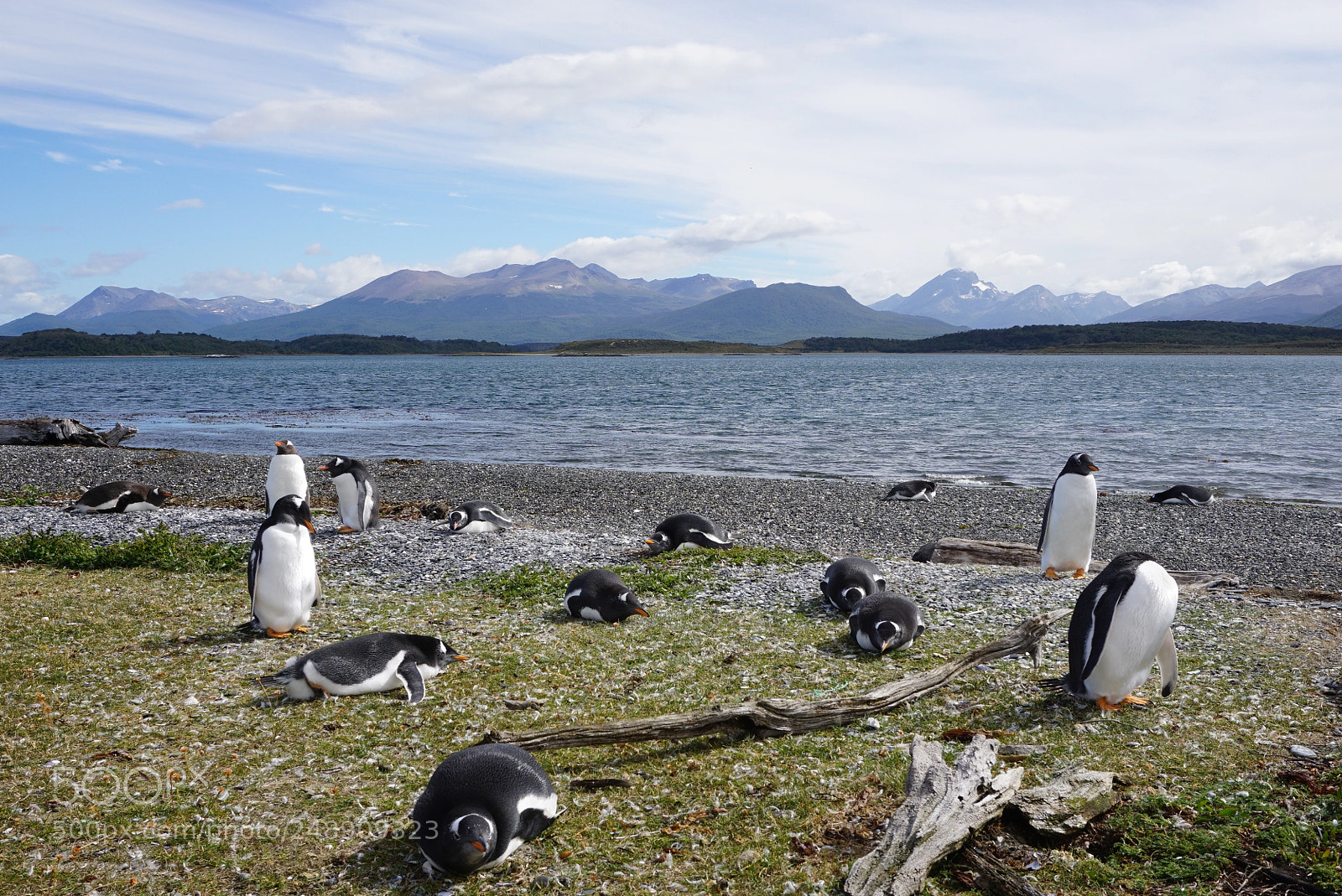 Sony a6000 sample photo. Canal beagle, tierra del photography