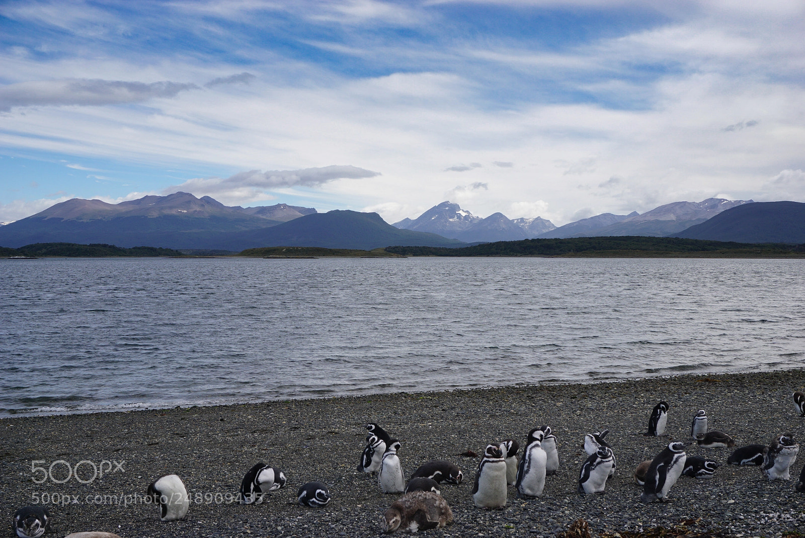 Sony a6000 sample photo. Canal beagle, tierra del photography