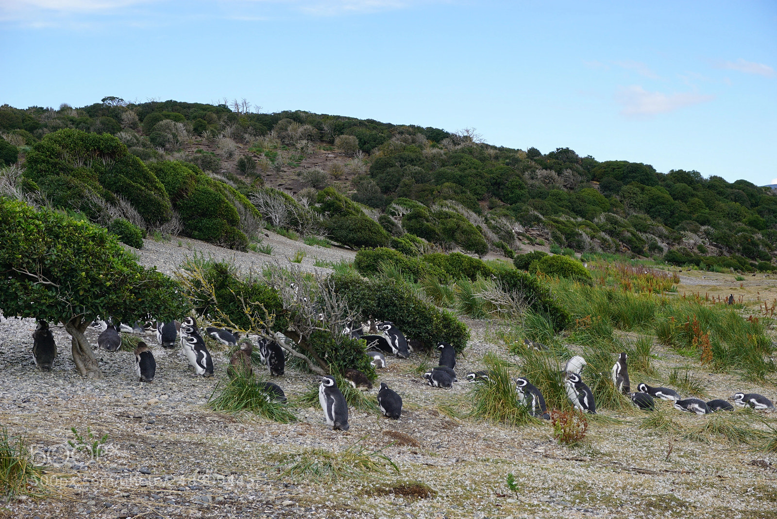 Sony a6000 sample photo. Canal beagle, tierra del photography