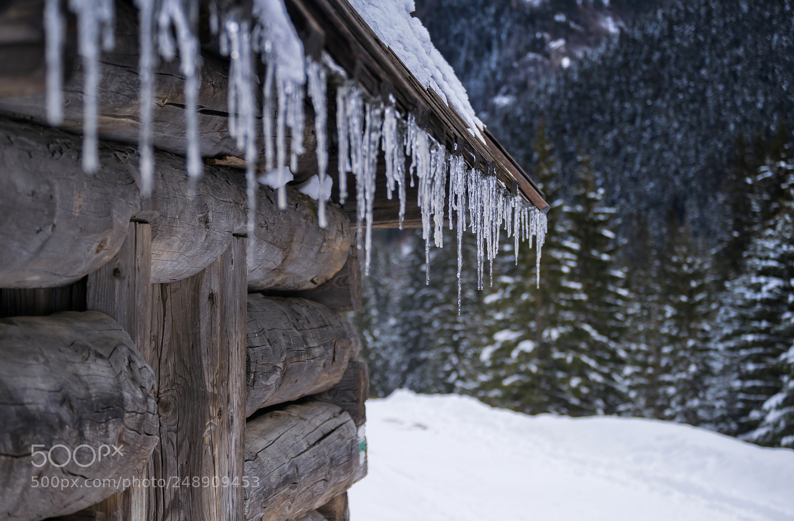 Nikon D3300 sample photo. Winter decoration photography