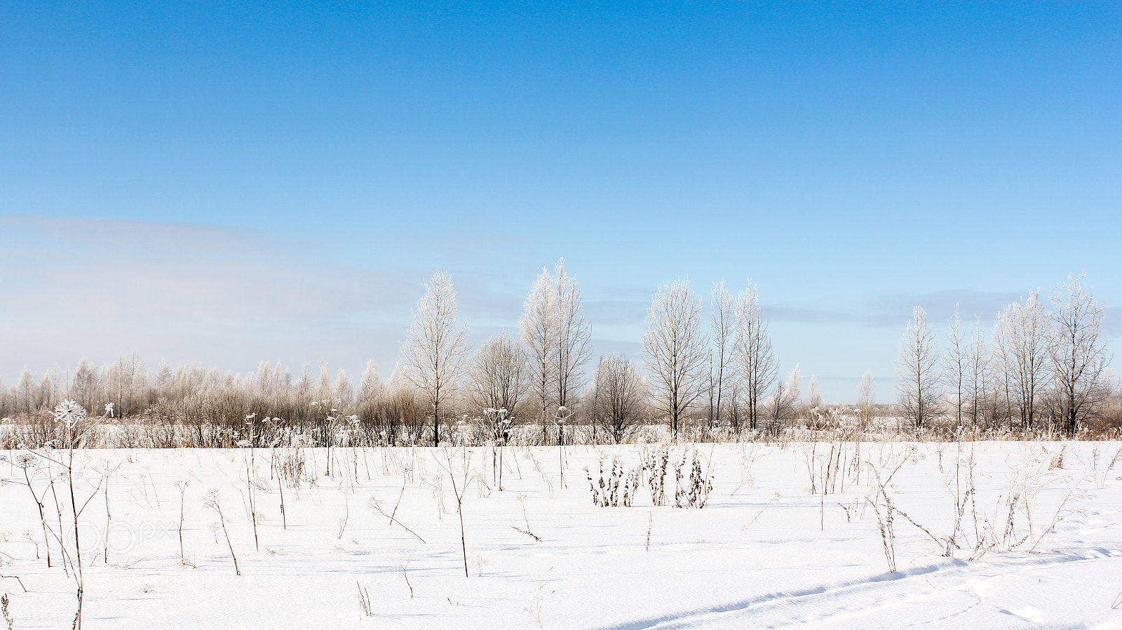 Canon EOS 60D sample photo. Winter field landscape. photography