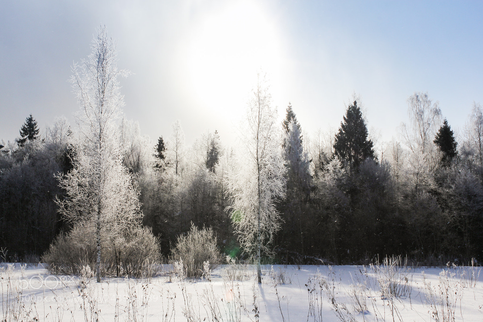 Canon EOS 60D sample photo. The sun illuminates the photography