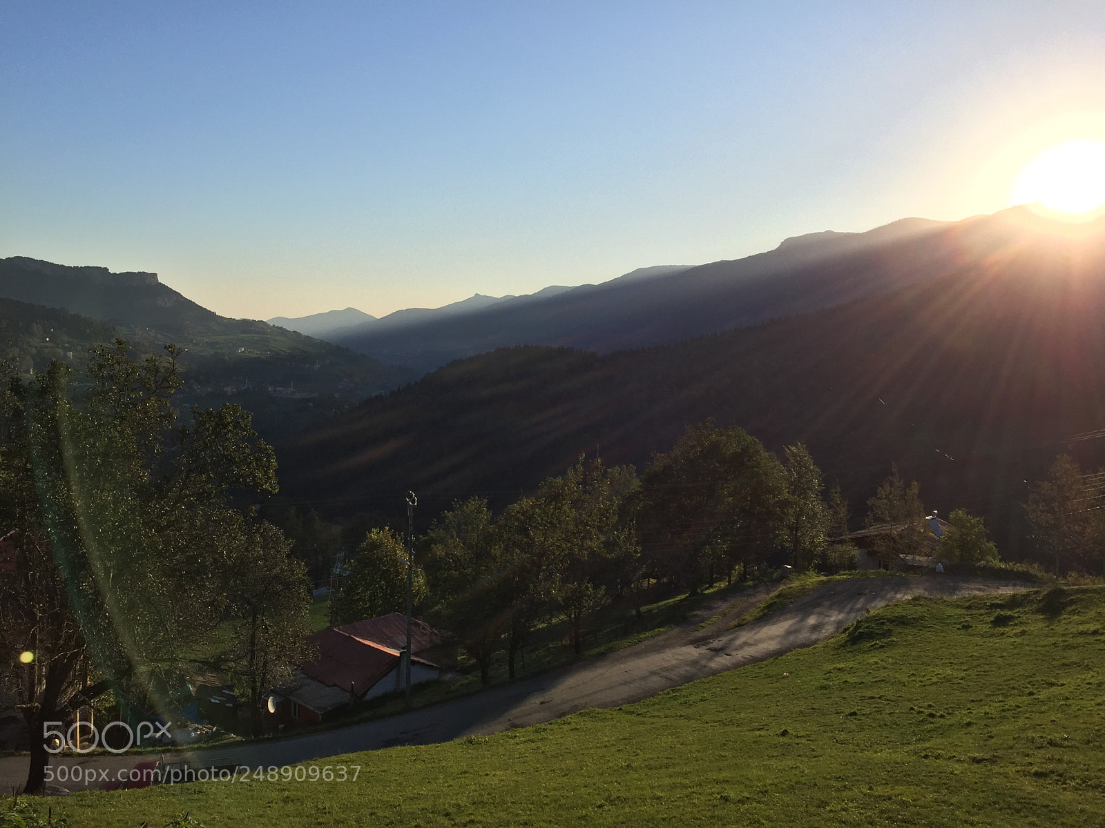 Apple iPhone 6 sample photo. Sunrise and green and photography