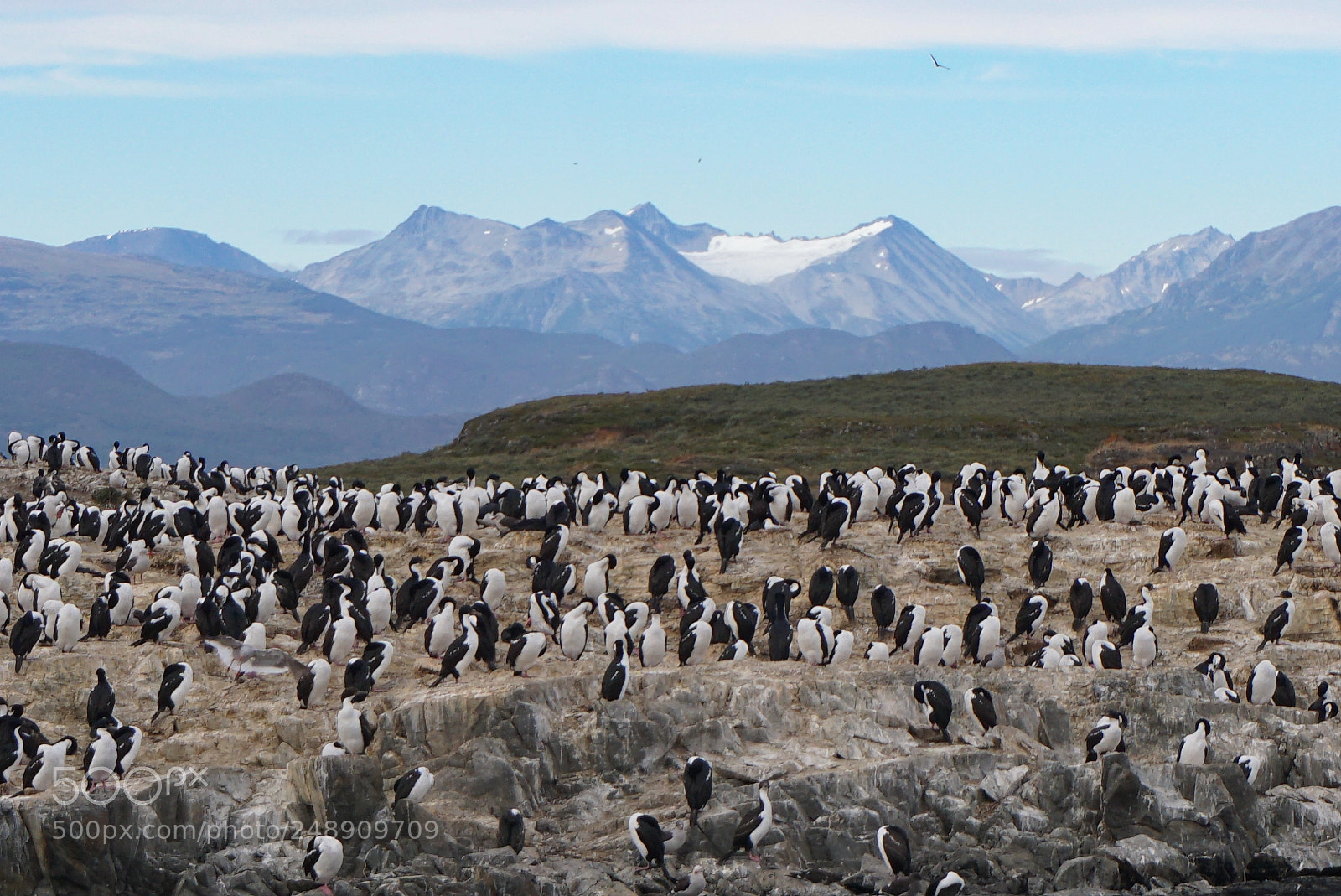 Sony a6000 sample photo. Canal beagle, tierra del photography