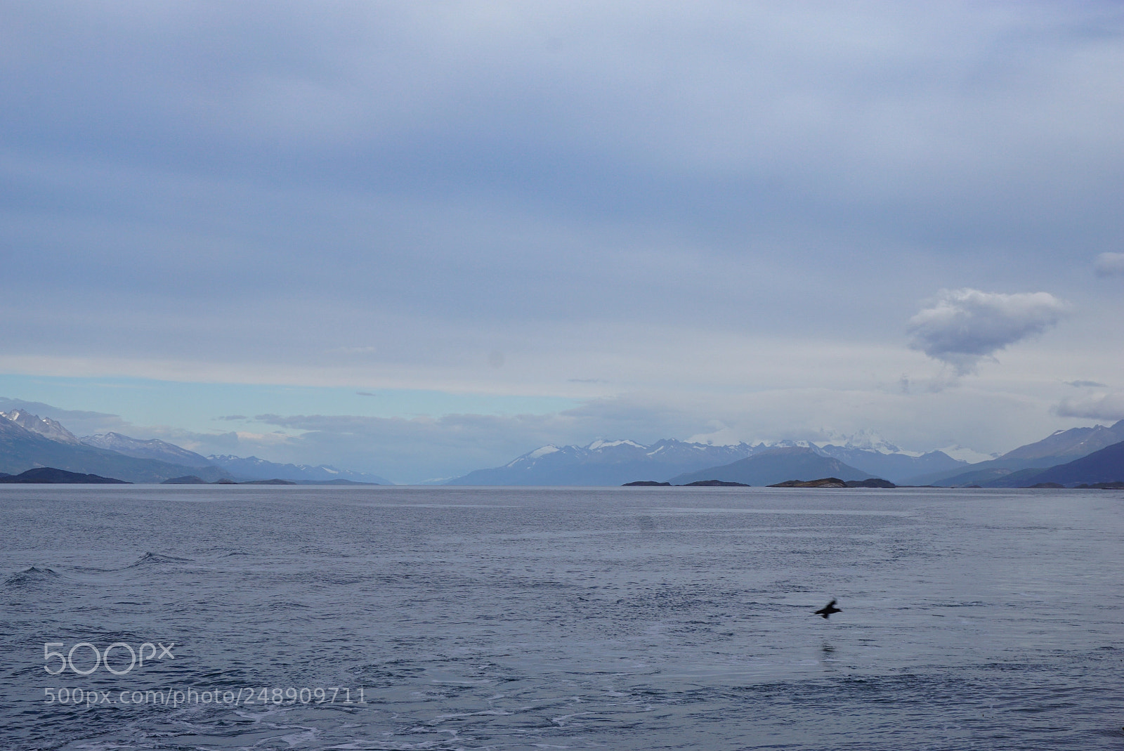 Sony a6000 sample photo. Canal beagle, tierra del photography