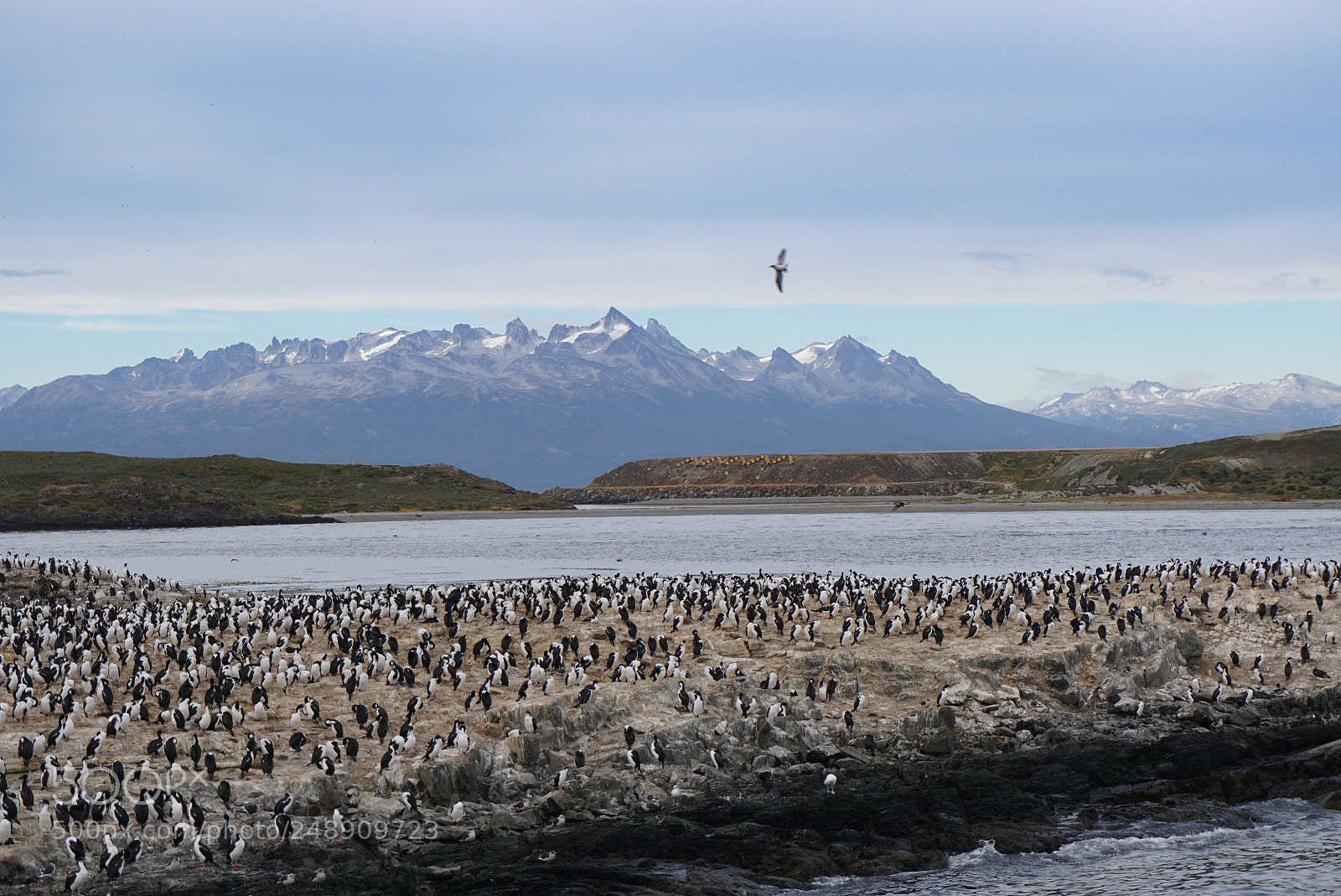 Sony a6000 sample photo. Canal beagle, tierra del photography