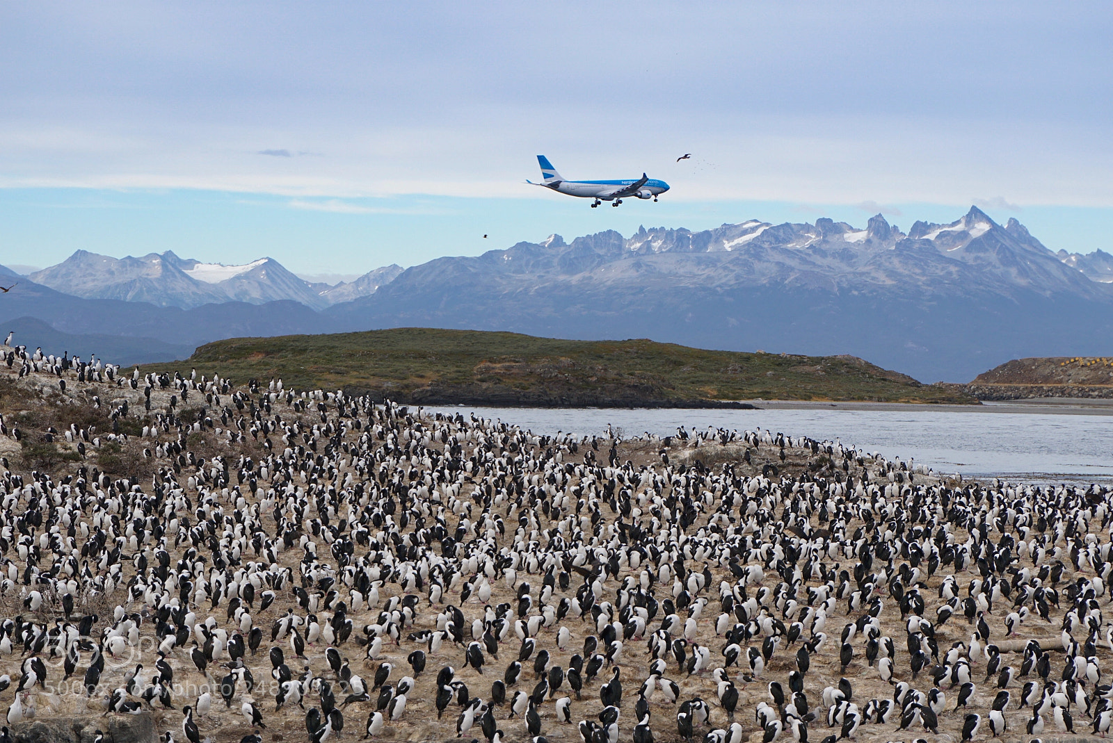 Sony a6000 sample photo. Canal beagle, tierra del photography