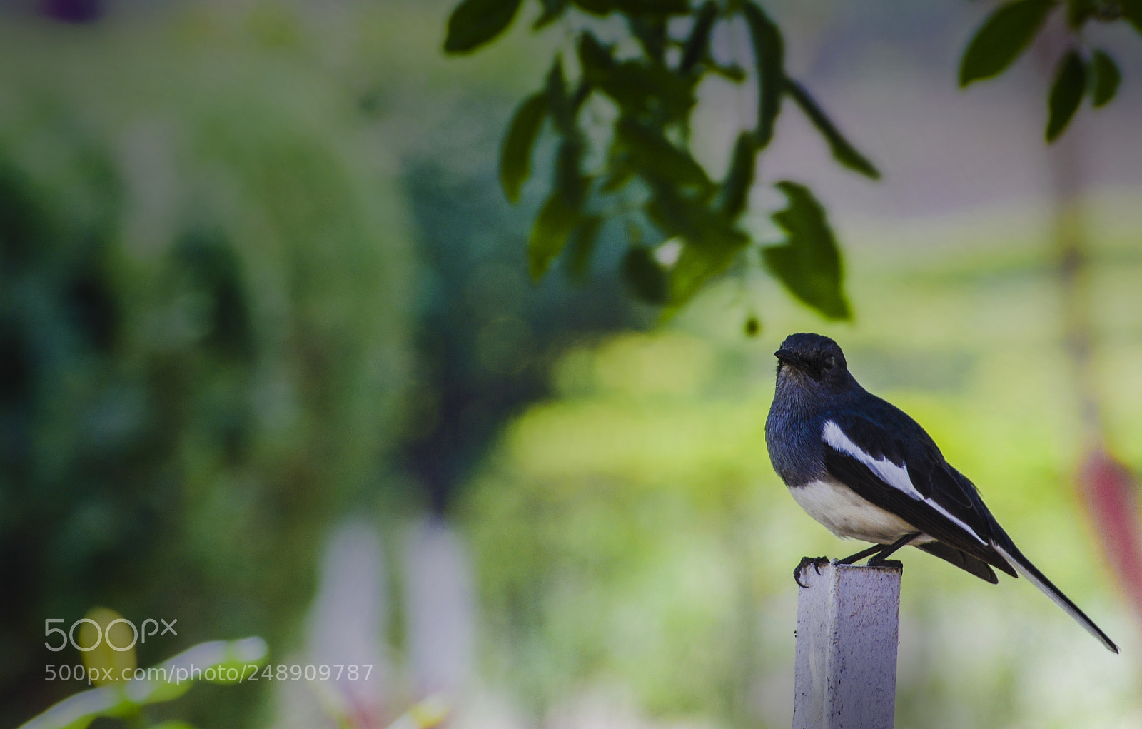 Nikon D3400 sample photo. Untitled photography