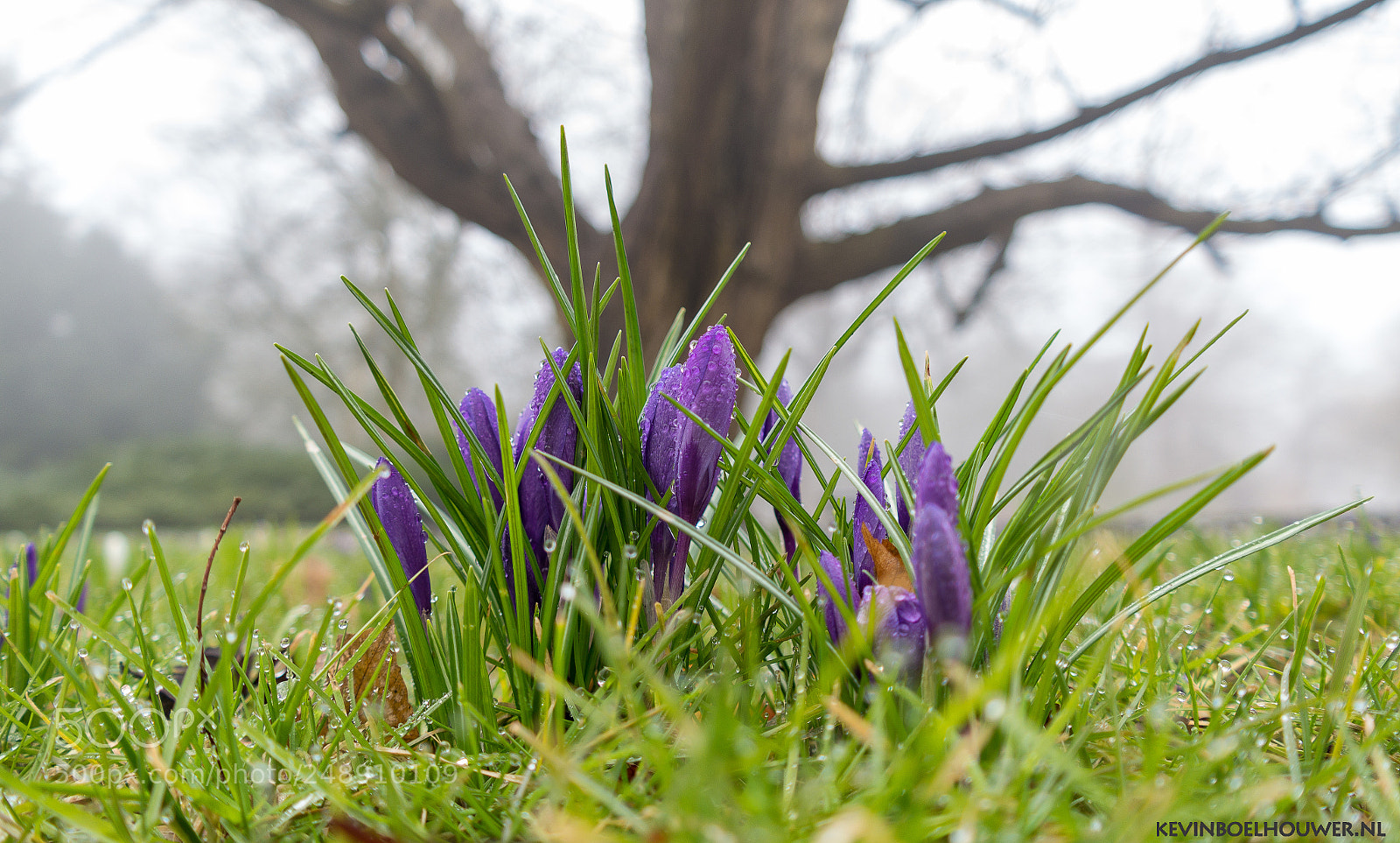 Samsung NX300 sample photo. This morning at the photography