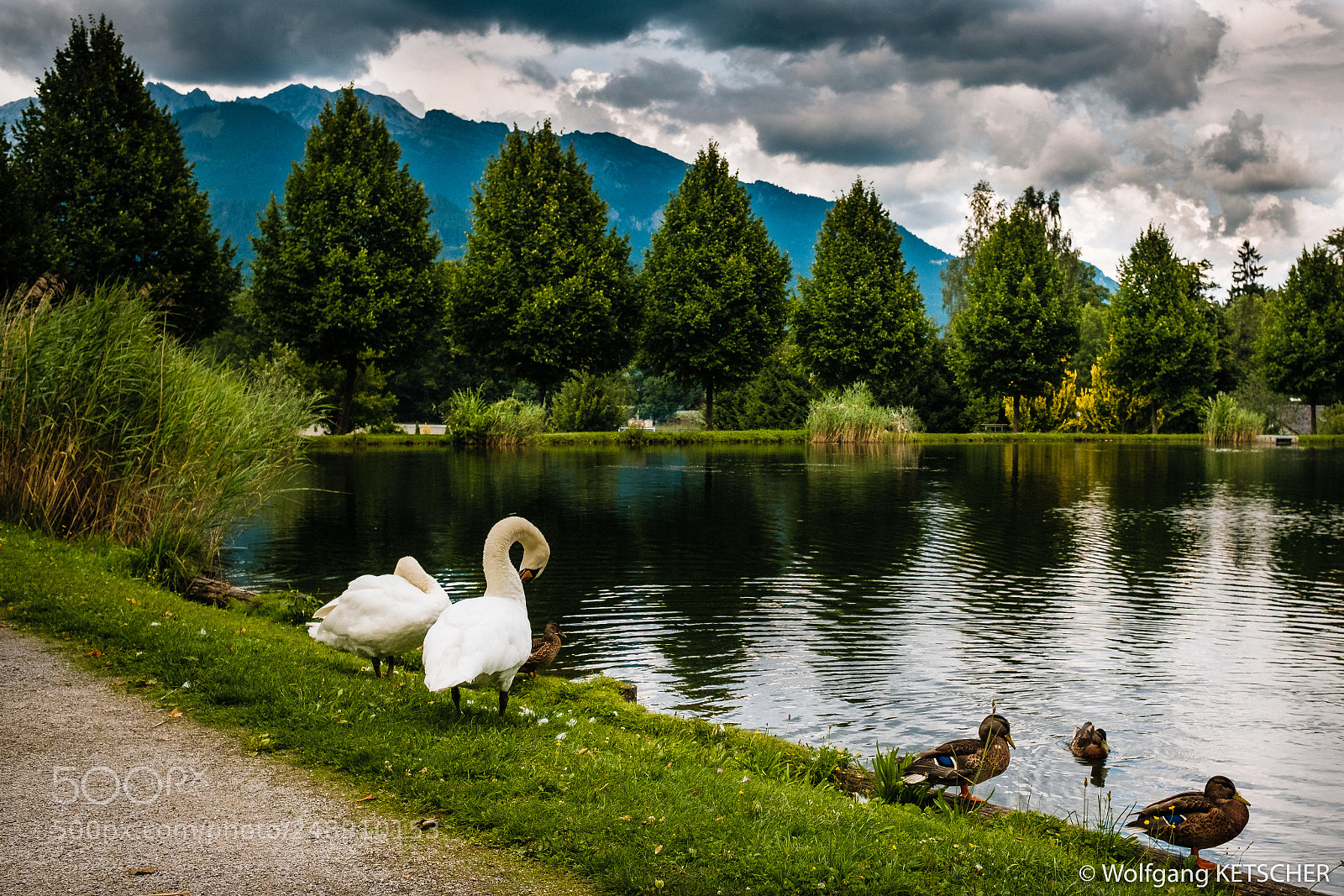 Fujifilm X-T2 sample photo. Admont park photography