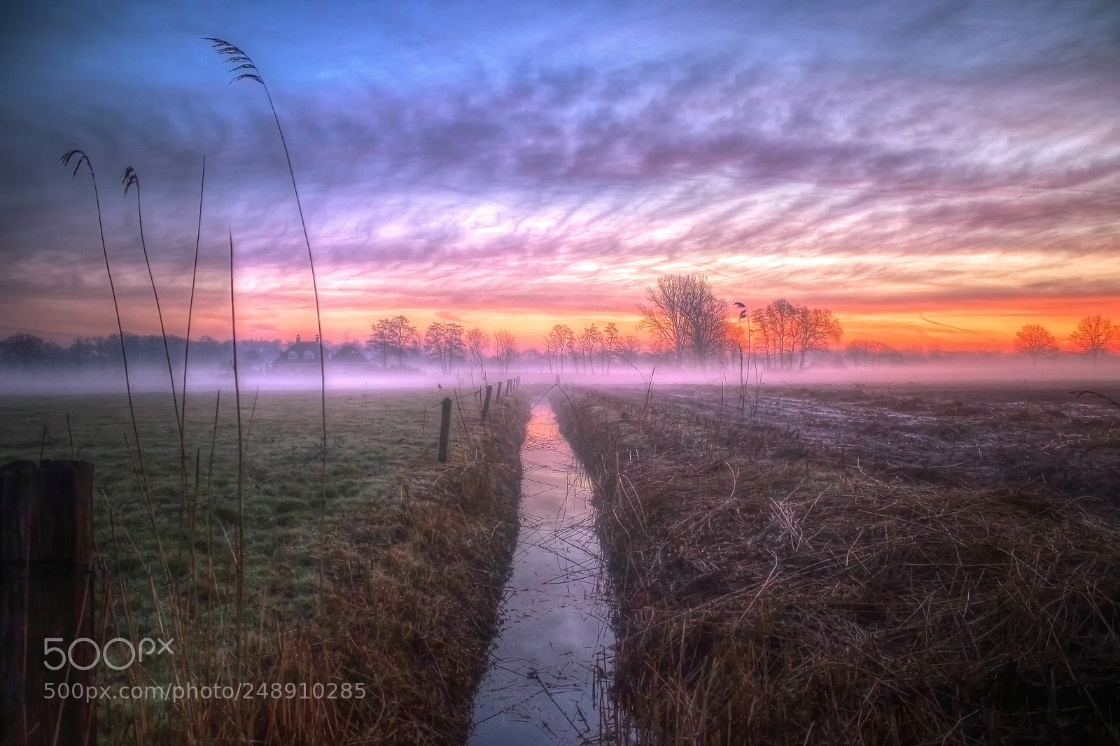Canon EOS 7D Mark II sample photo. 11-03-2018 beautiful sunrise in photography
