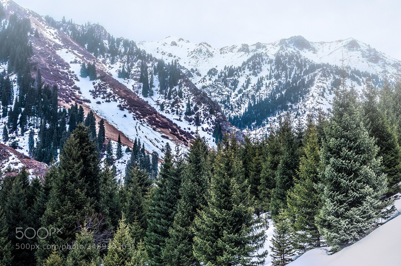 Nikon D700 sample photo. Beautiful mountain landscape photography