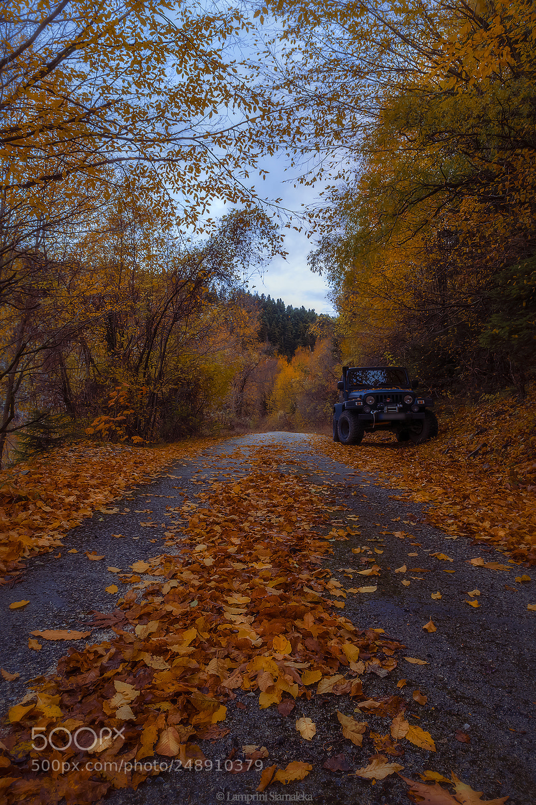 Nikon D3300 sample photo. Untitled photography