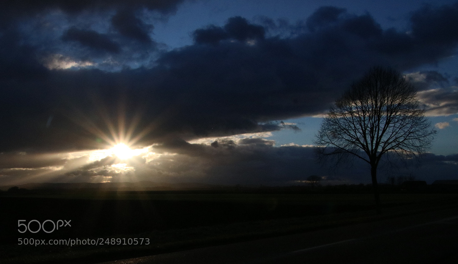 Canon EOS 760D (EOS Rebel T6s / EOS 8000D) sample photo. January sun ii photography