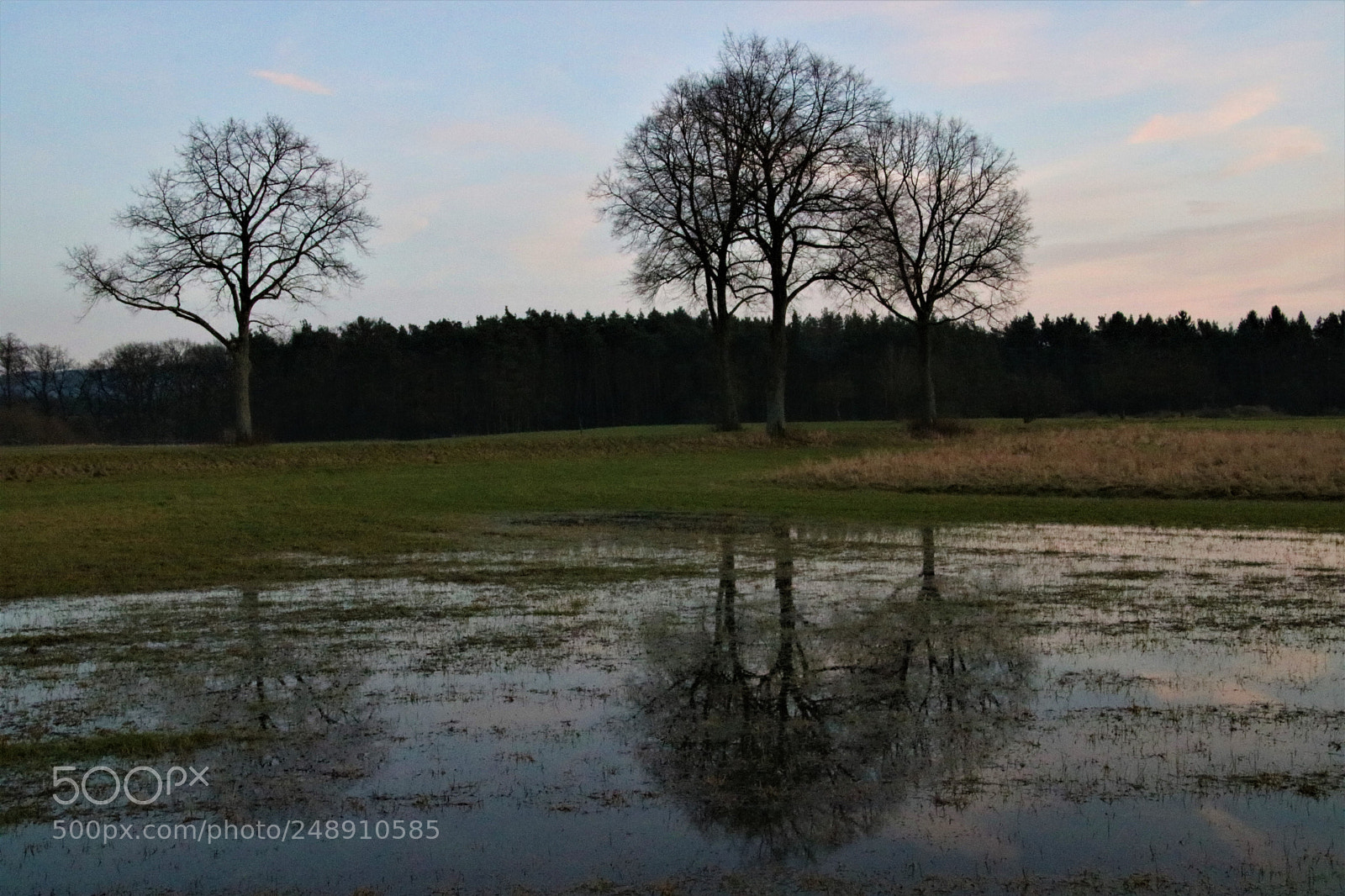 Canon EOS 760D (EOS Rebel T6s / EOS 8000D) sample photo. Inondation photography