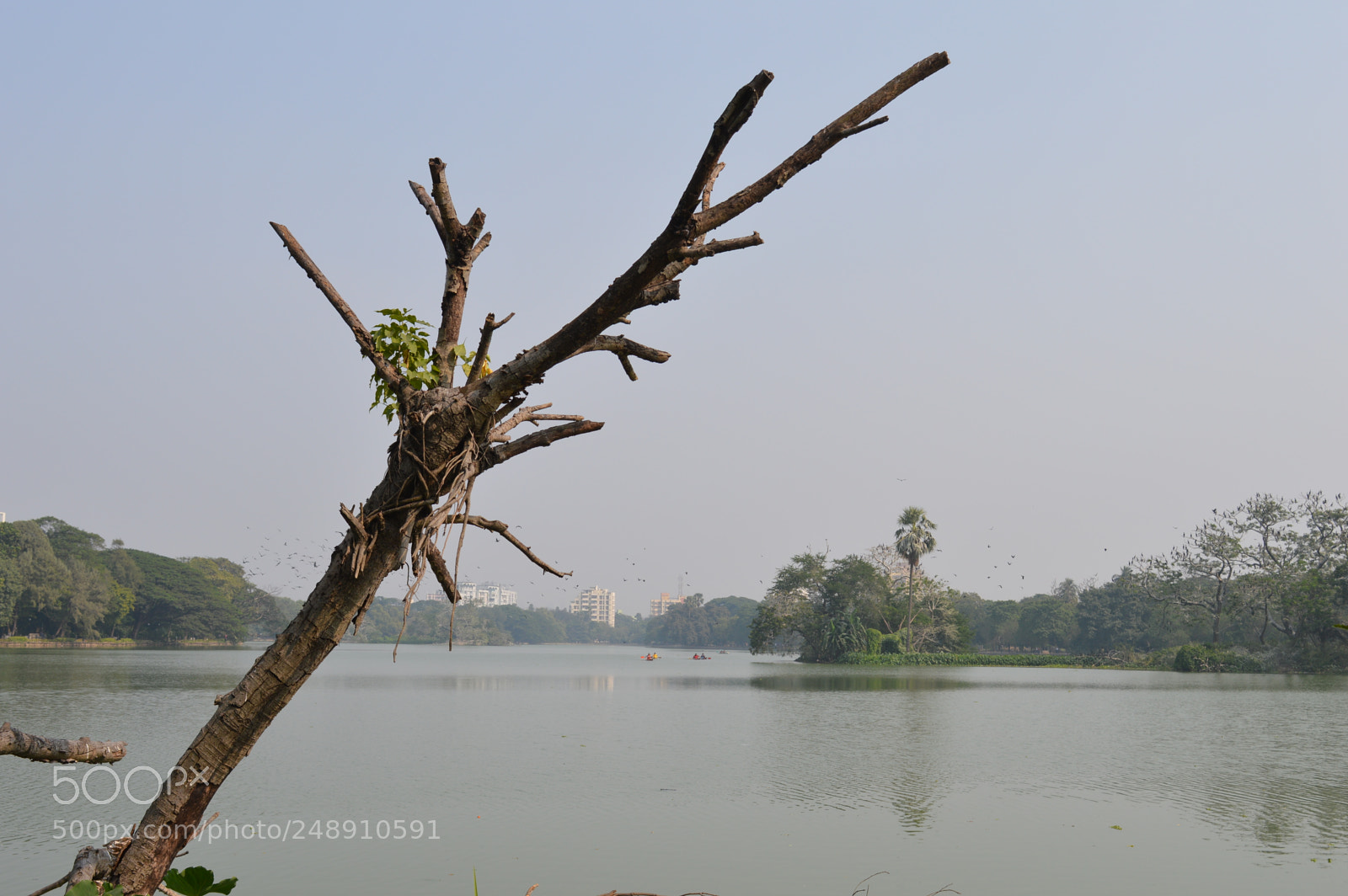 Nikon D3200 sample photo. Untitled photography