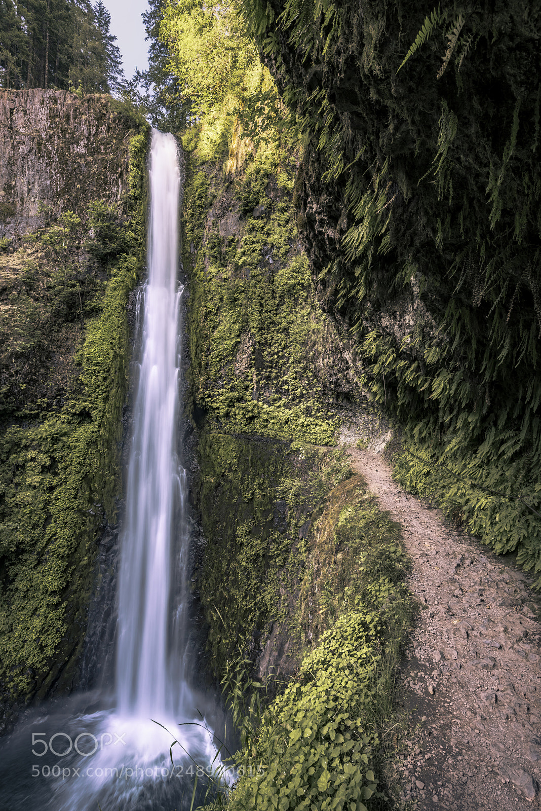 Nikon D810 sample photo. Passing through waterfalls photography