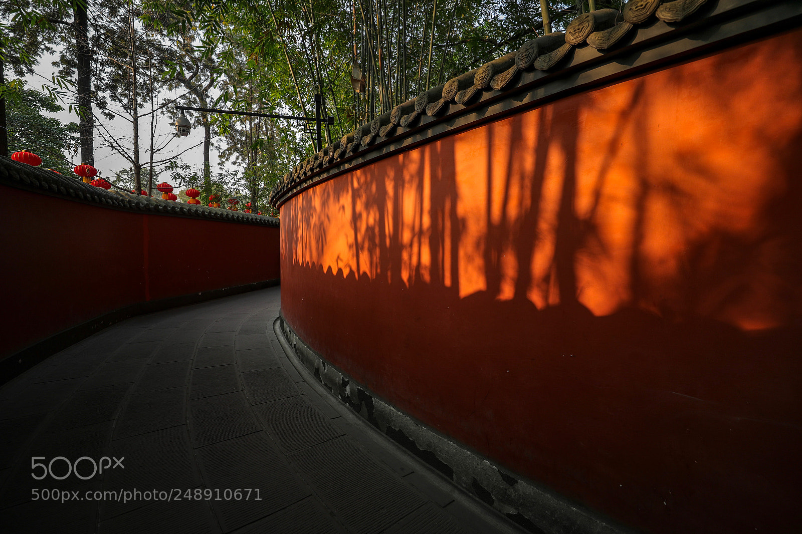 Canon EOS-1D X Mark II sample photo. Sunset photography