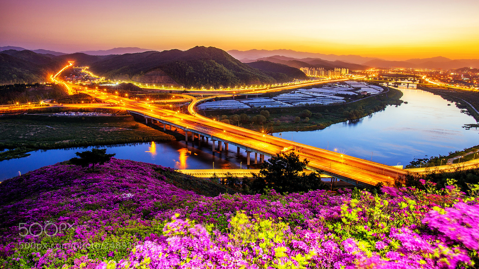 Nikon D810 sample photo. Flowers and highways photography