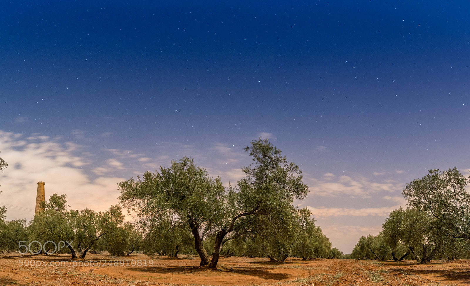 Nikon D7100 sample photo. Olivares photography