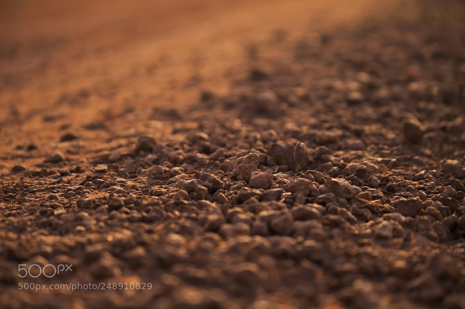 Canon EOS 700D (EOS Rebel T5i / EOS Kiss X7i) sample photo. Red pebbles photography