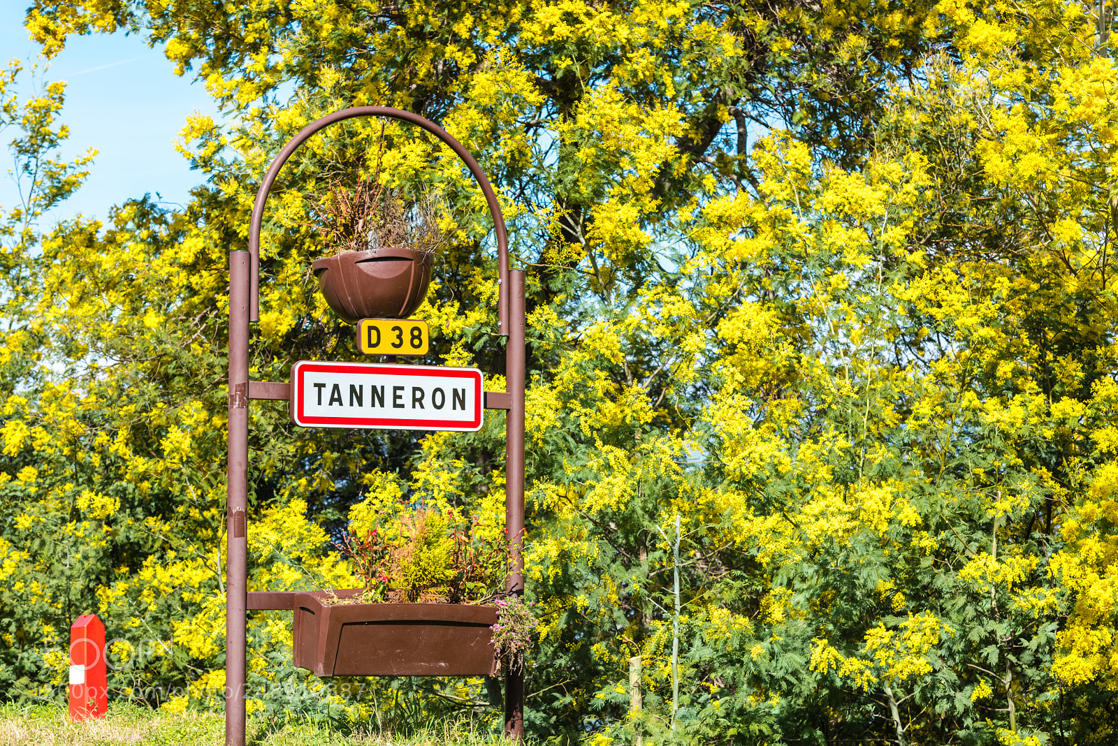 Nikon D810 sample photo. Road sign of tanneron photography