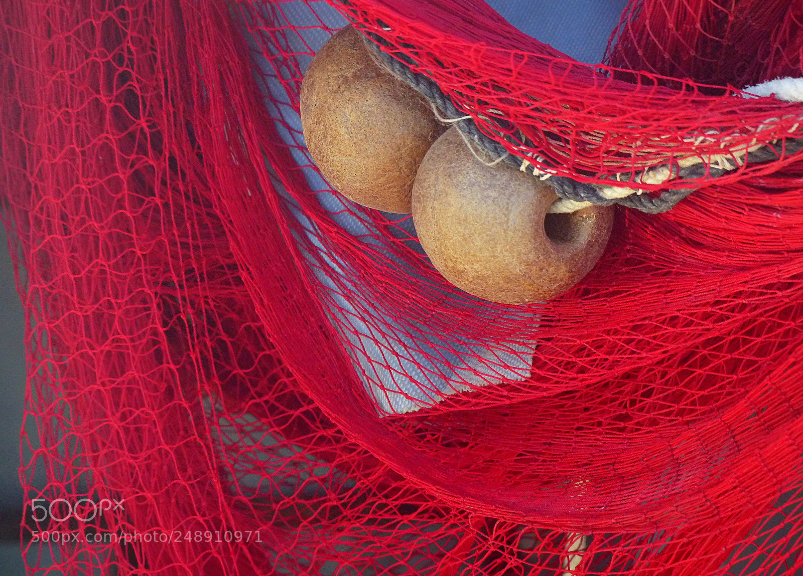 Panasonic Lumix DMC-FZ200 sample photo. Prendre au filet... photography