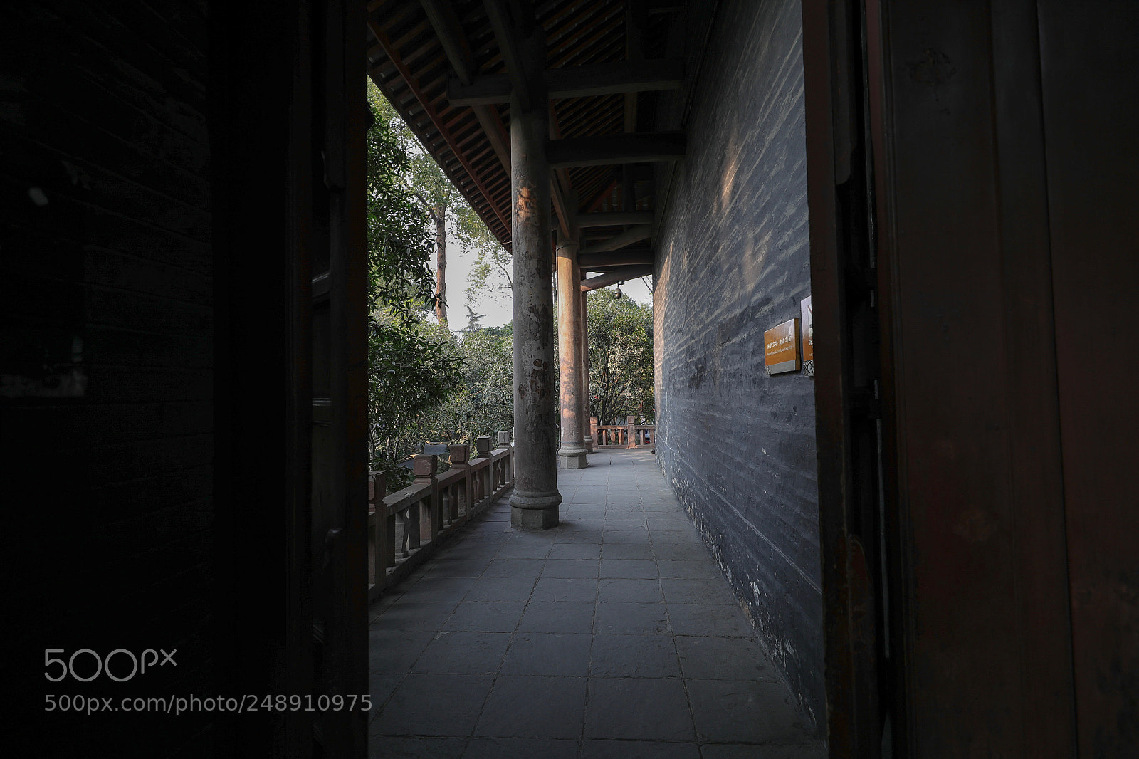 Canon EOS-1D X Mark II sample photo. Untitled photography