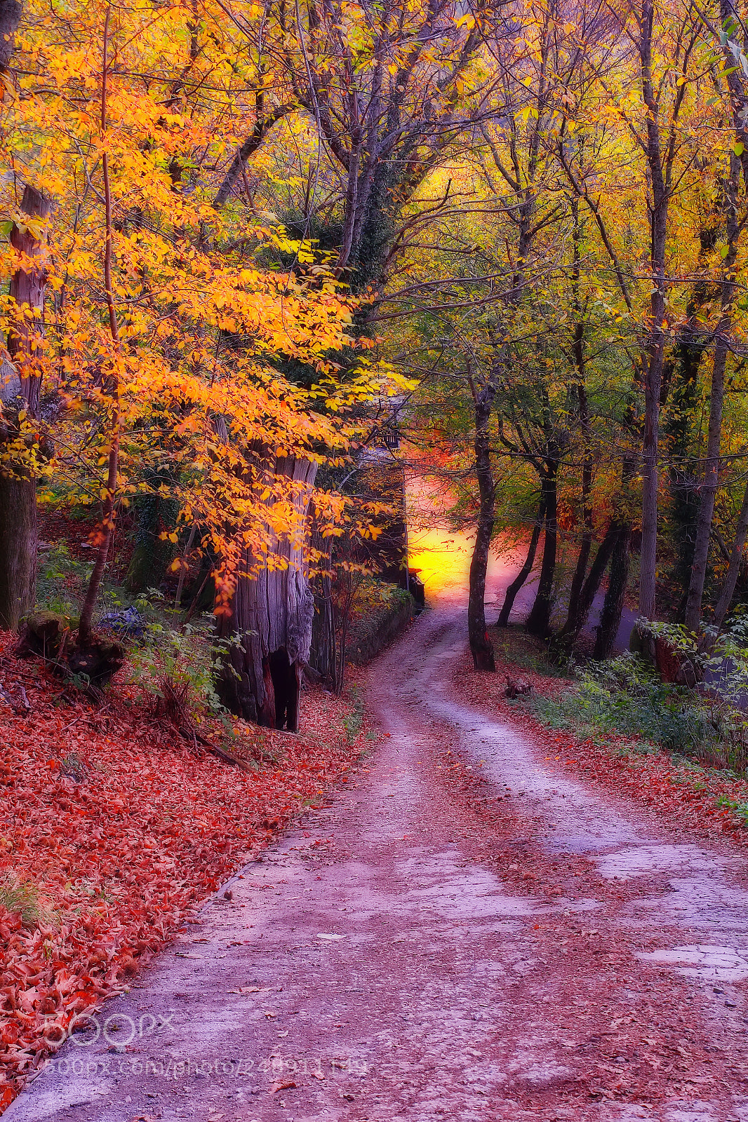 Canon EOS 60D sample photo. Morning walk in seceda photography