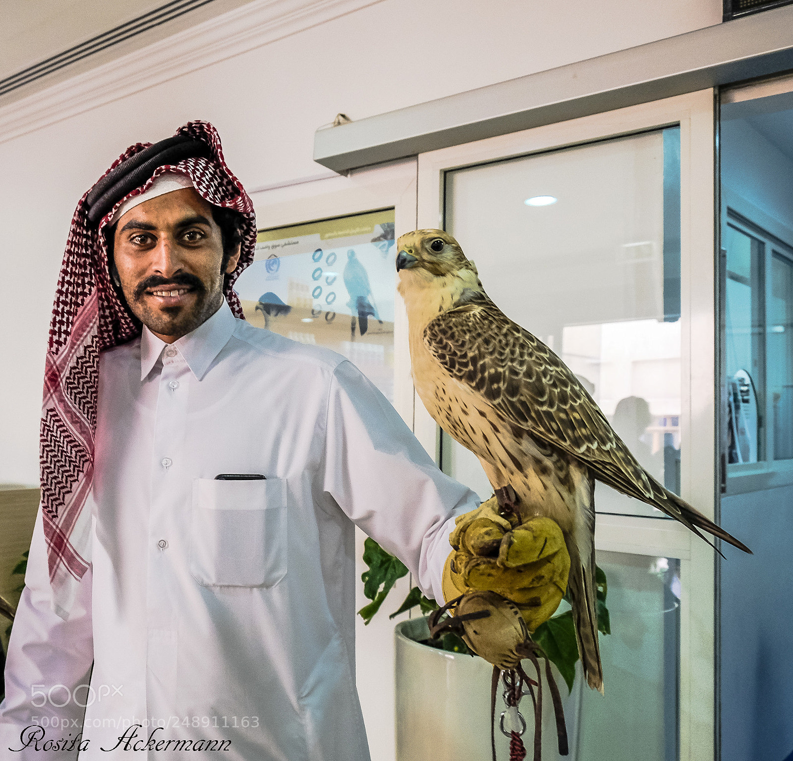 Fujifilm X-T20 sample photo. Souq wafiq falcon hospital photography