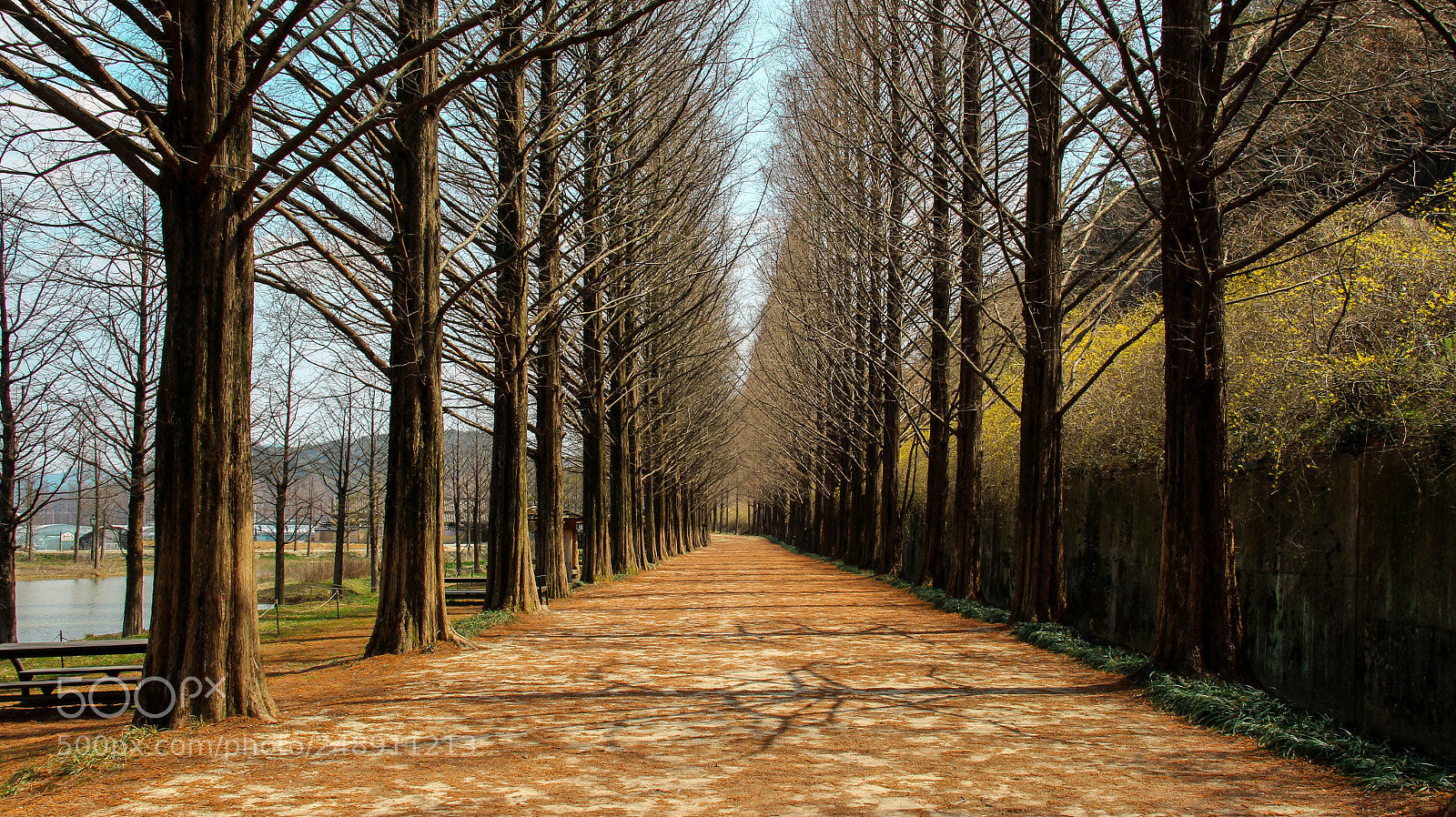 Canon EOS 700D (EOS Rebel T5i / EOS Kiss X7i) sample photo. The boulevard photography