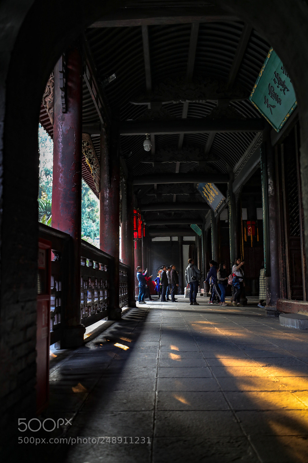 Canon EOS-1D X Mark II sample photo. Untitled photography