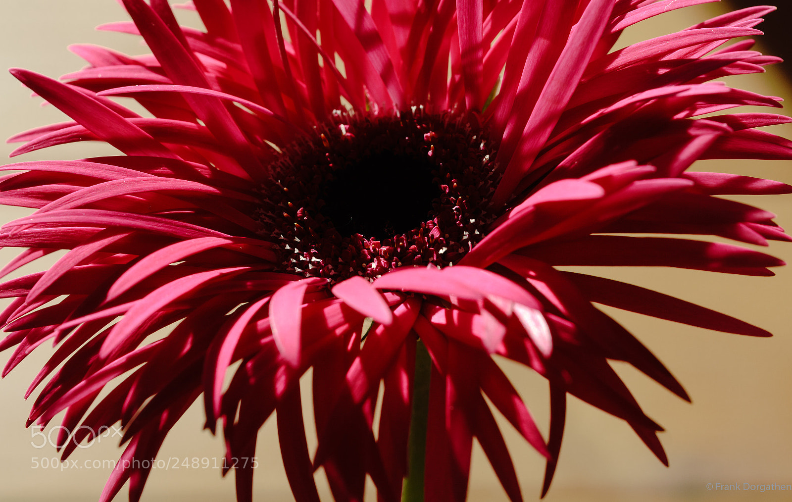 Sony a6000 sample photo. Enlightening photography