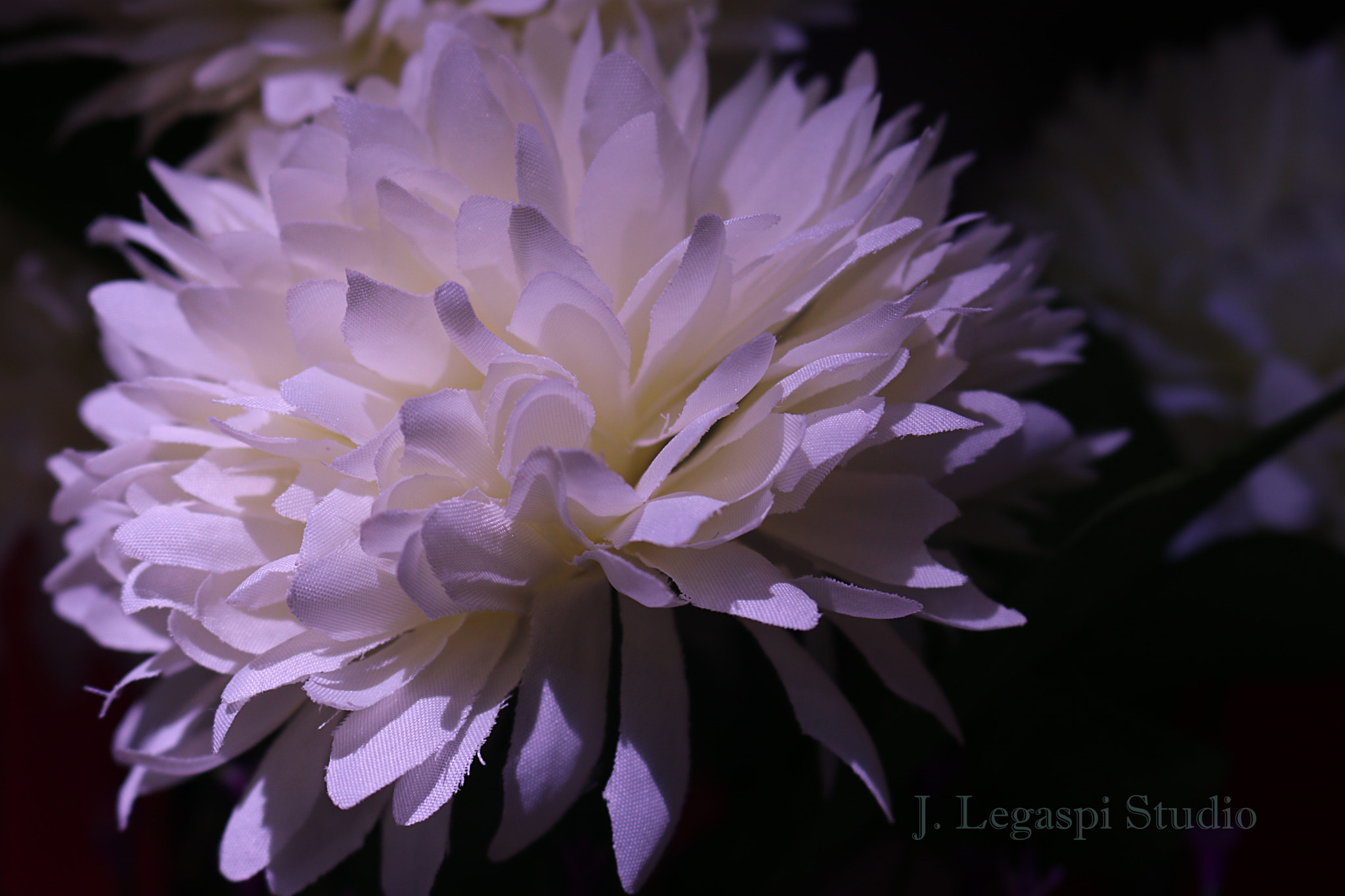 Canon EOS 80D sample photo. C photography