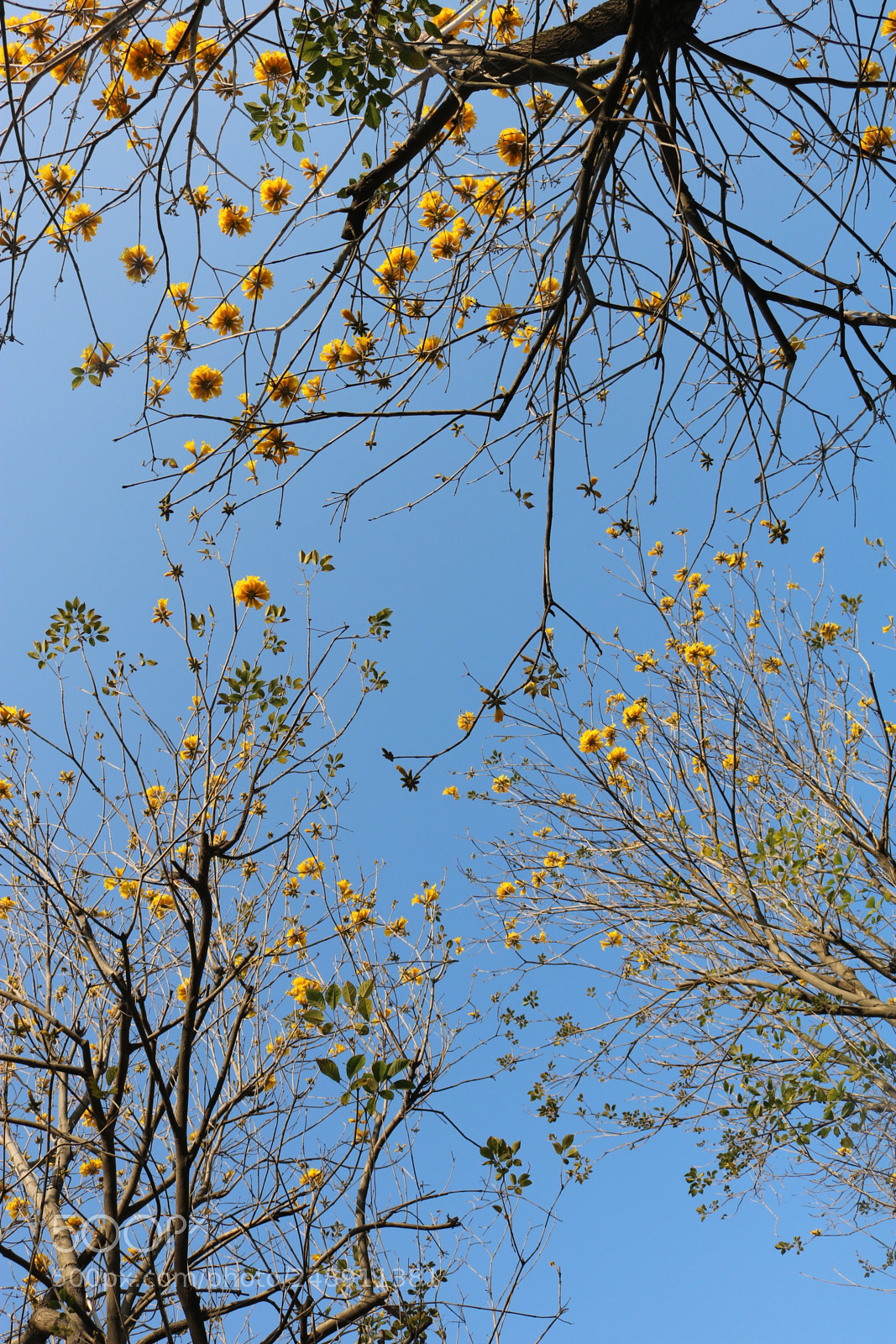 Canon EOS 750D (EOS Rebel T6i / EOS Kiss X8i) sample photo. Untitled photography