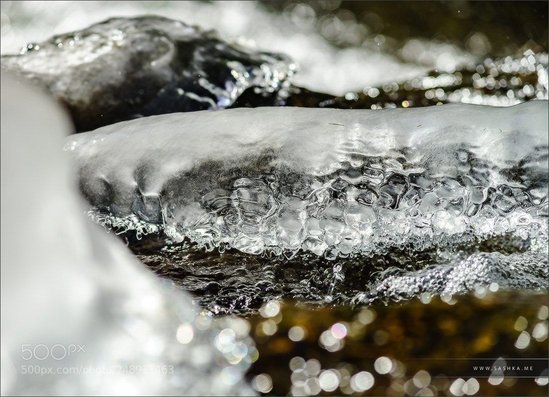 Sony a99 II sample photo. Abstract close-up view of photography