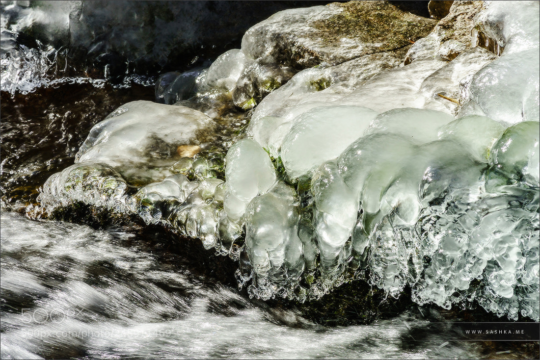 Sony Alpha a99 sample photo. Abstract close-up view of photography