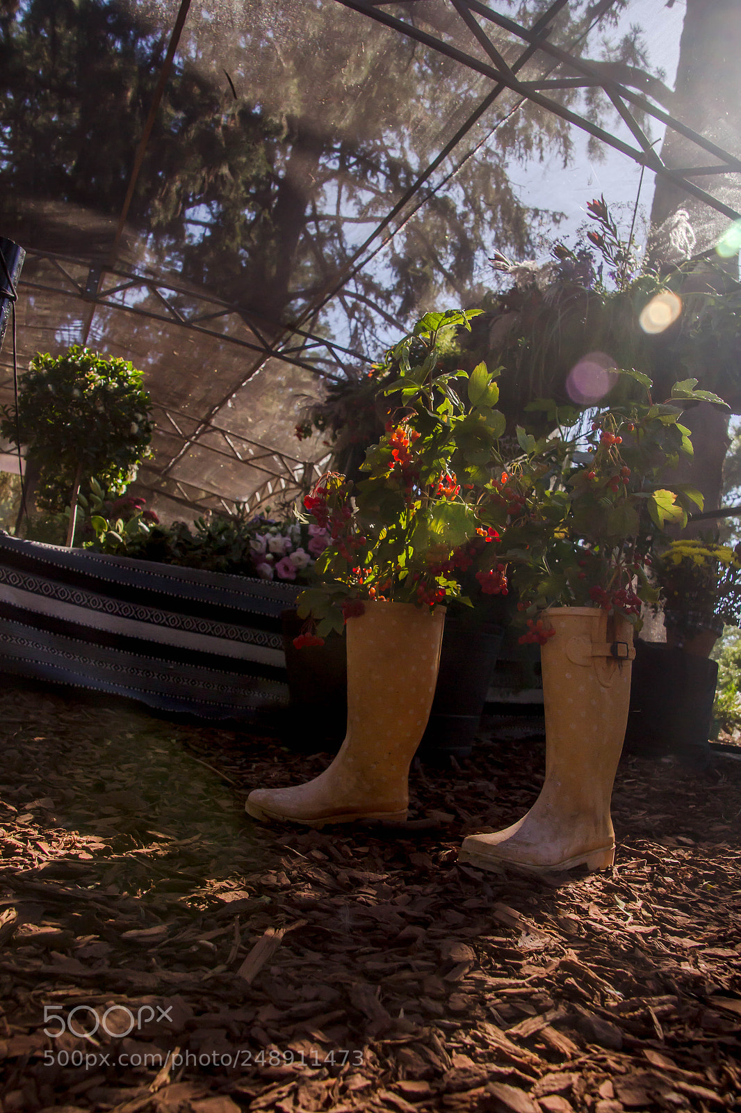 Canon EOS 60D sample photo. Mg photography