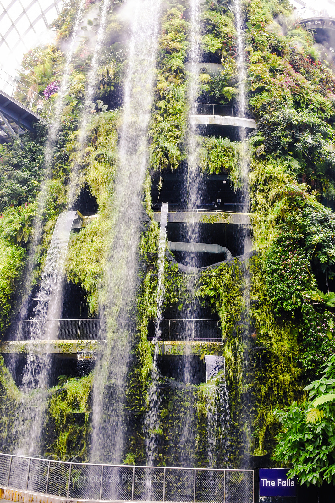 Nikon D7200 sample photo. The falls photography