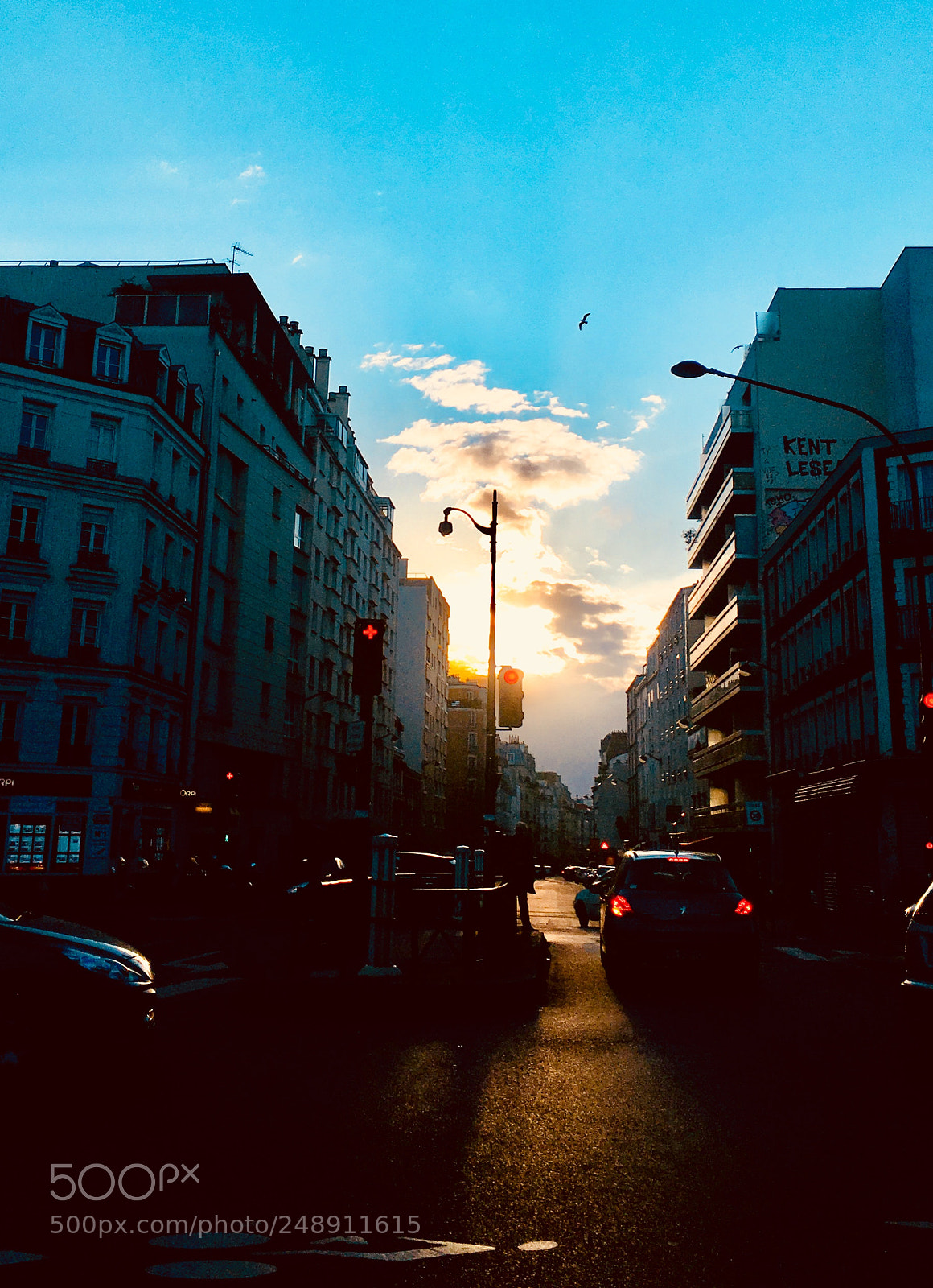 Apple iPhone 6s Plus sample photo. Untitled photography