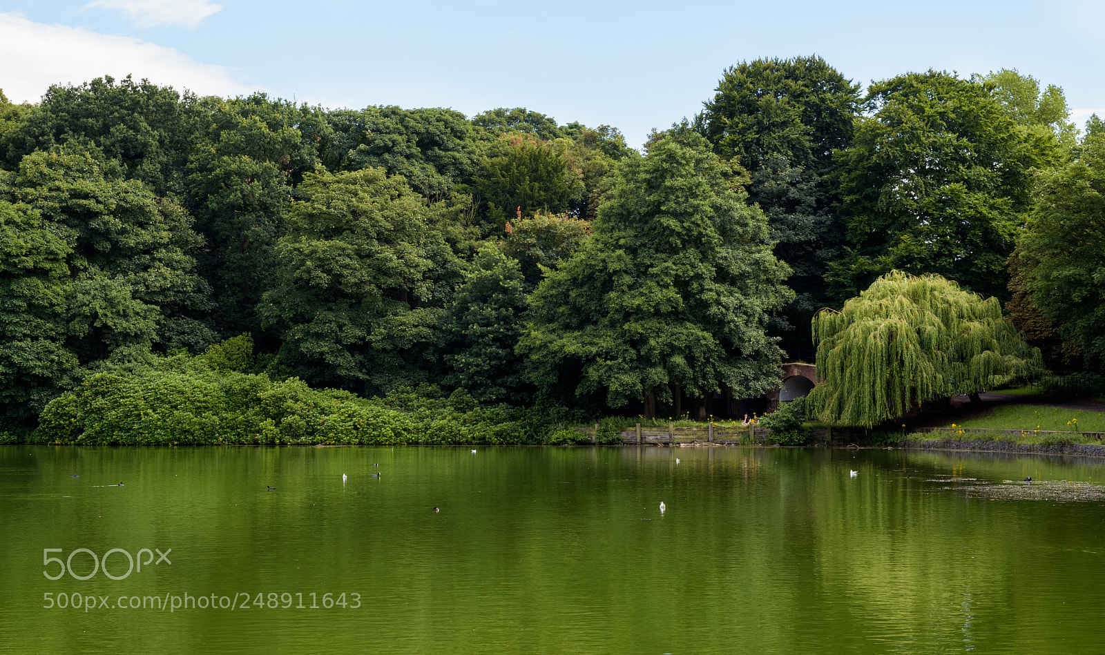 Nikon D810 sample photo. Someone's paradise photography