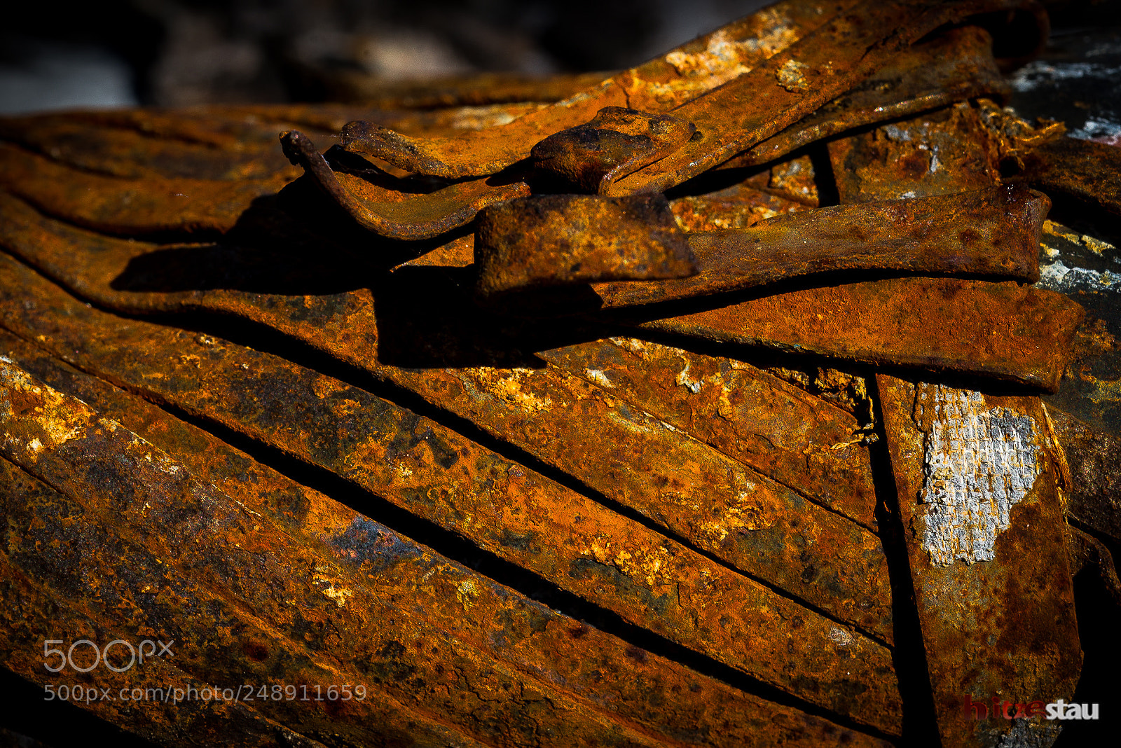 Nikon D610 sample photo. Piece of rust photography