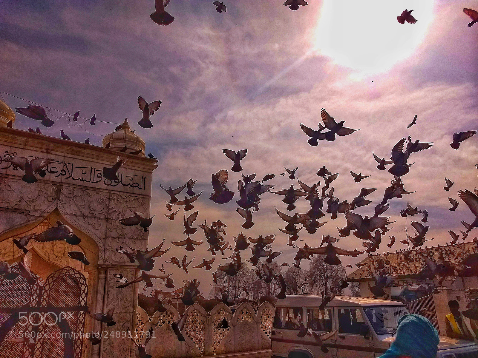 Motorola Moto G (5) Plus sample photo. Flying towards blessings. photography