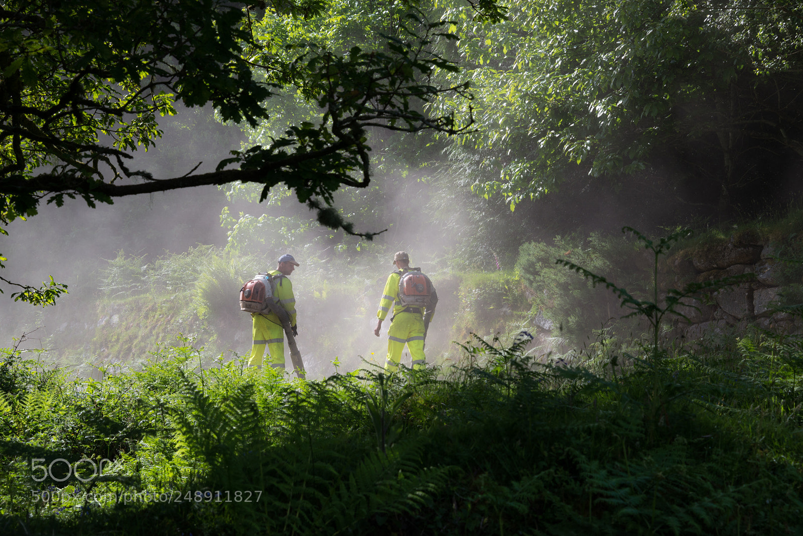 Nikon D610 sample photo. Road workers in the photography