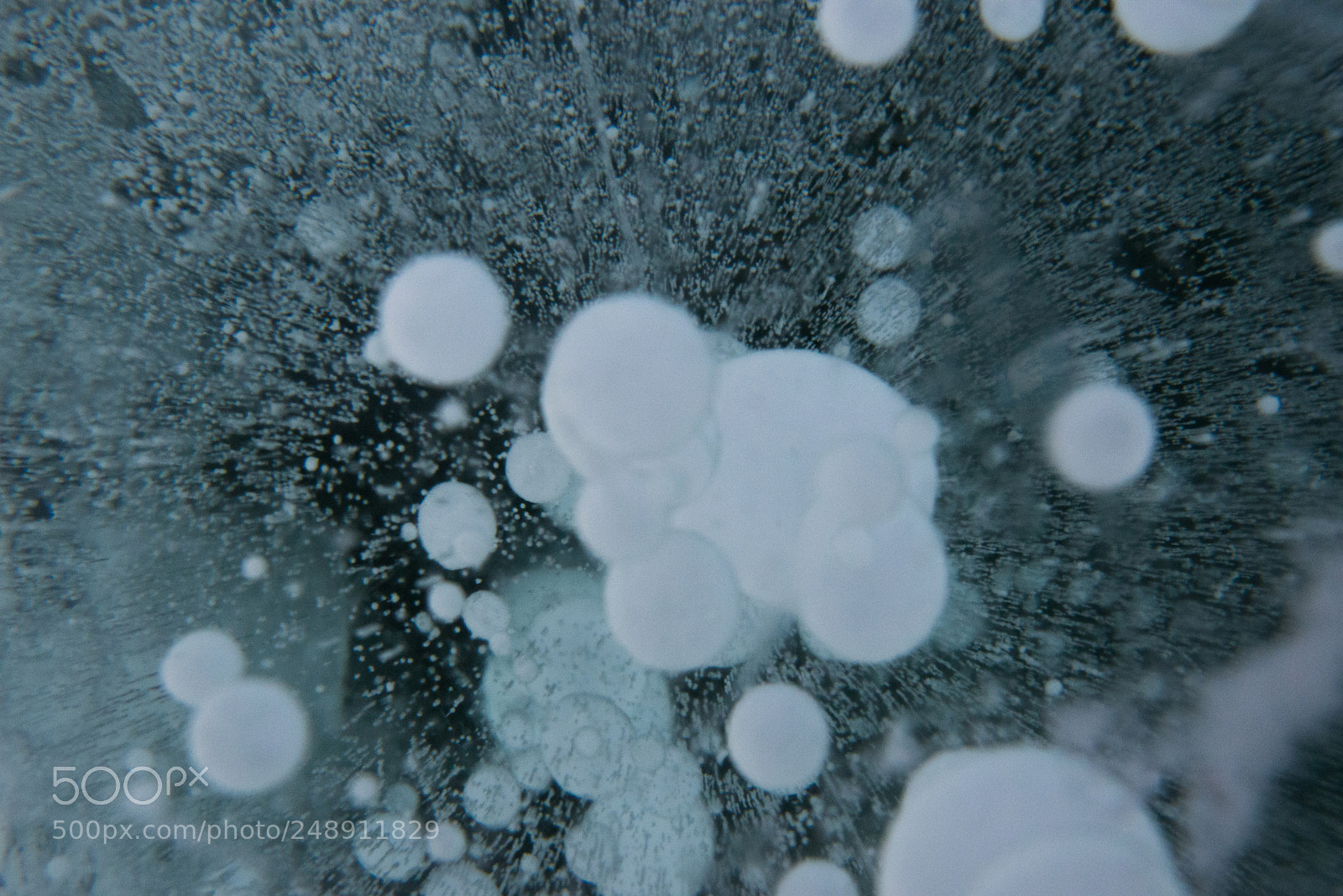 Nikon D610 sample photo. Frozen time photography