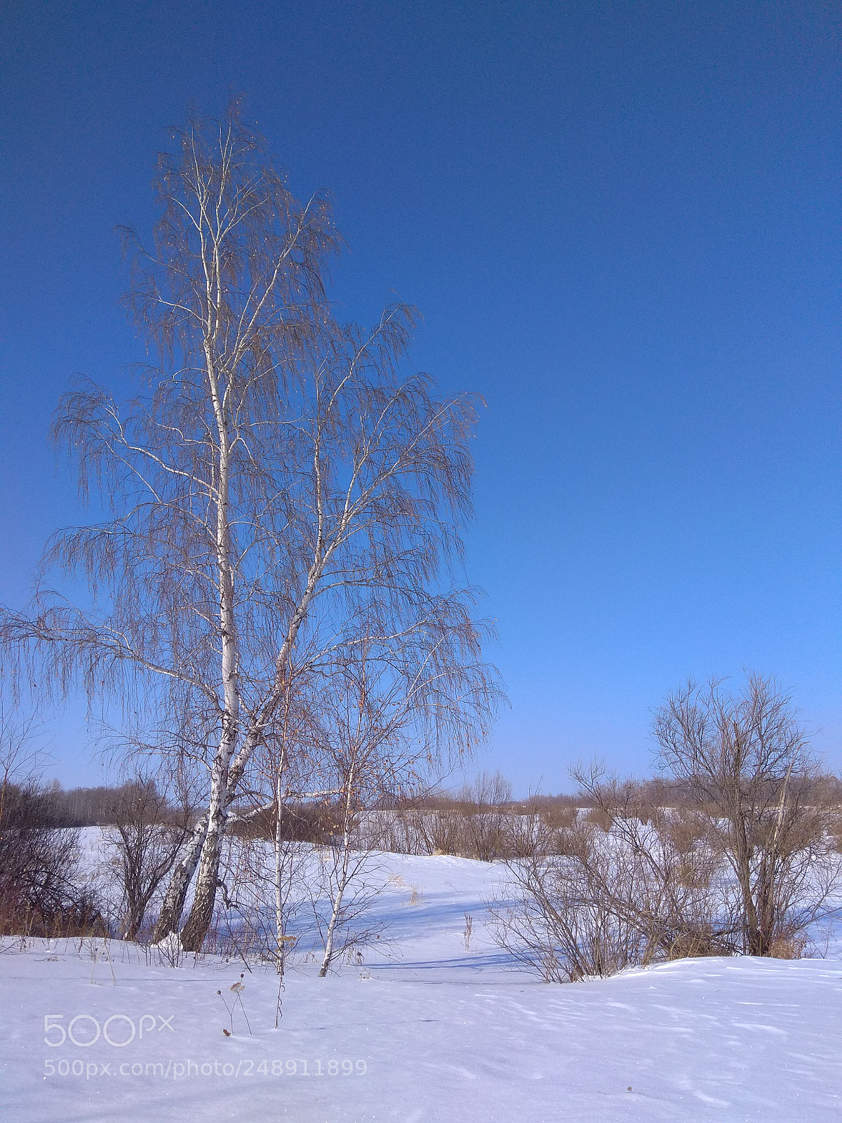 Xiaomi Redmi Note 4 sample photo. Весна photography