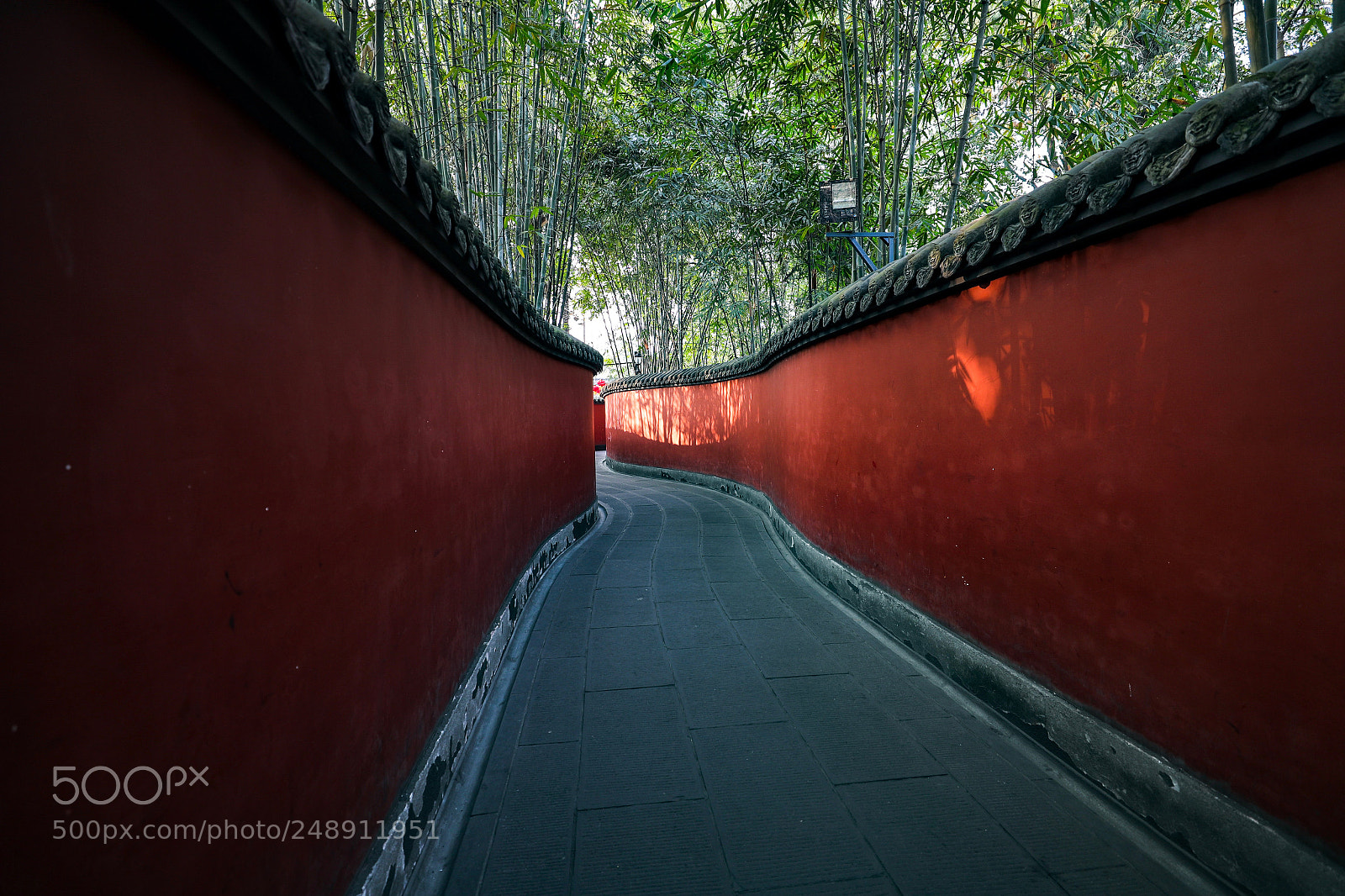 Canon EOS-1D X Mark II sample photo. Footpath photography