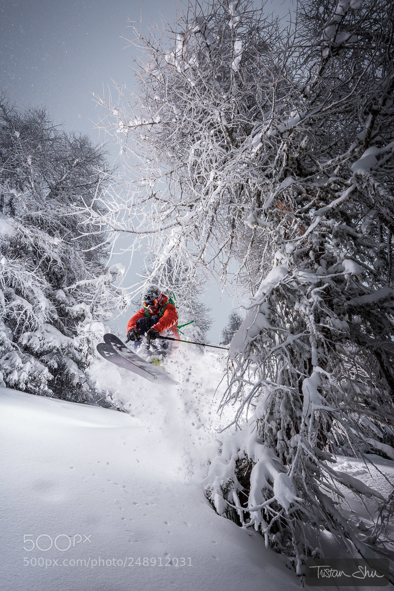 Nikon D810 sample photo. Skiing in the woods photography
