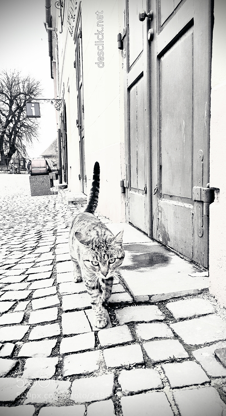 Samsung Galaxy Note4 sample photo. Friends ... ? photography