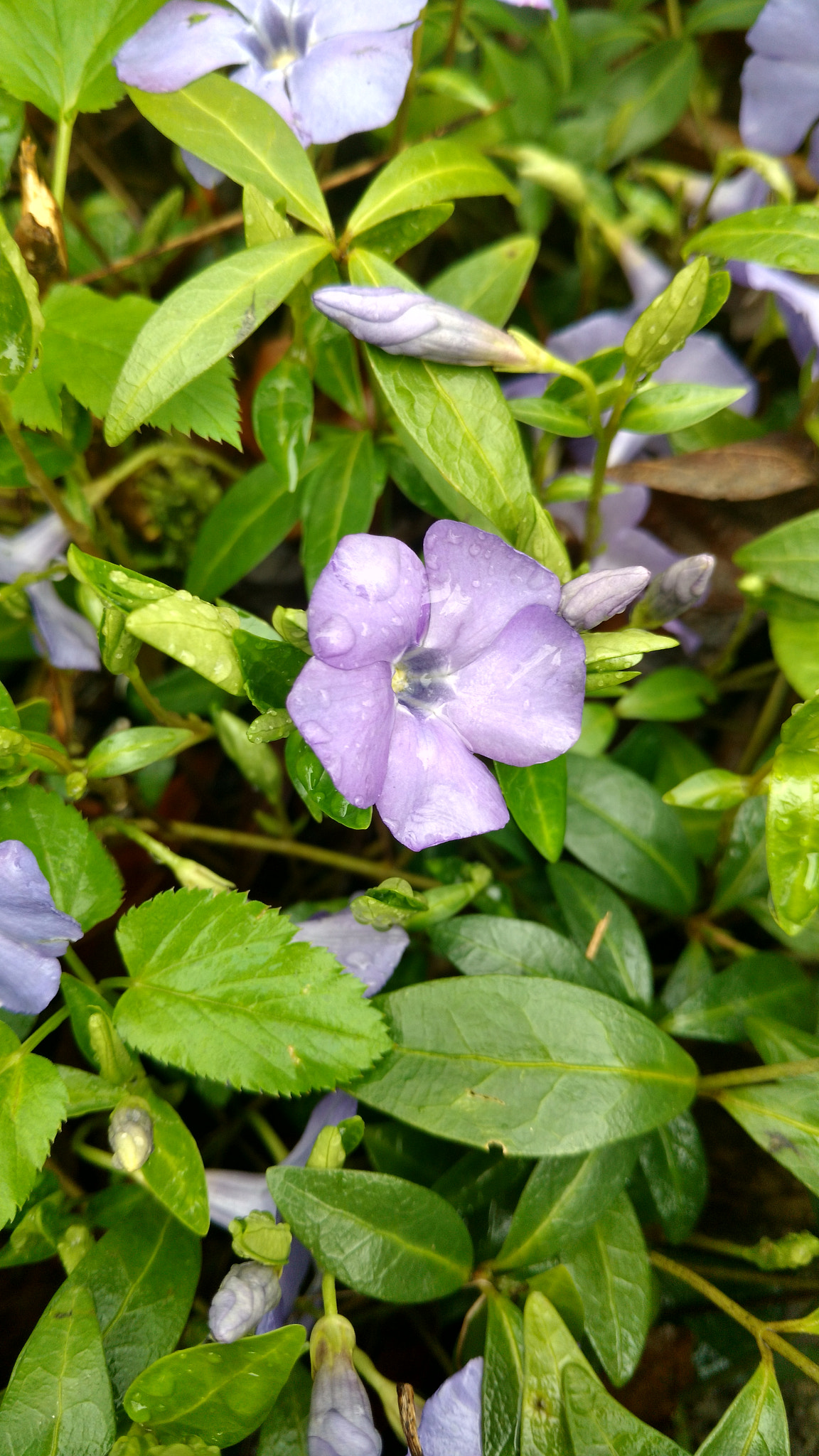 Motorola Moto X Play sample photo. Hdr photography